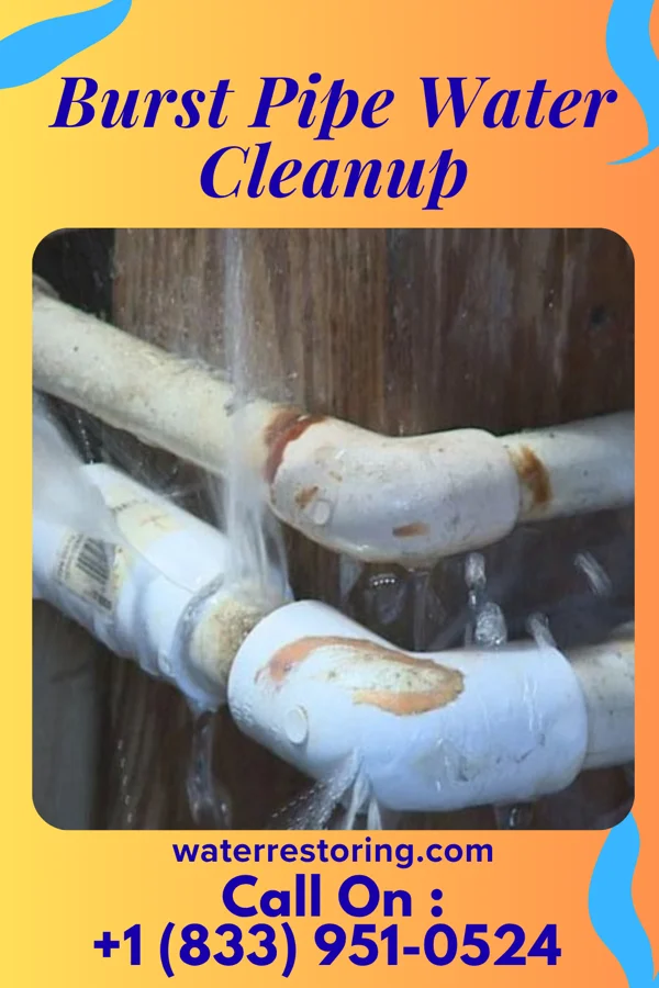 Burst Pipe Water Cleanup in Copper Mountain, CO
